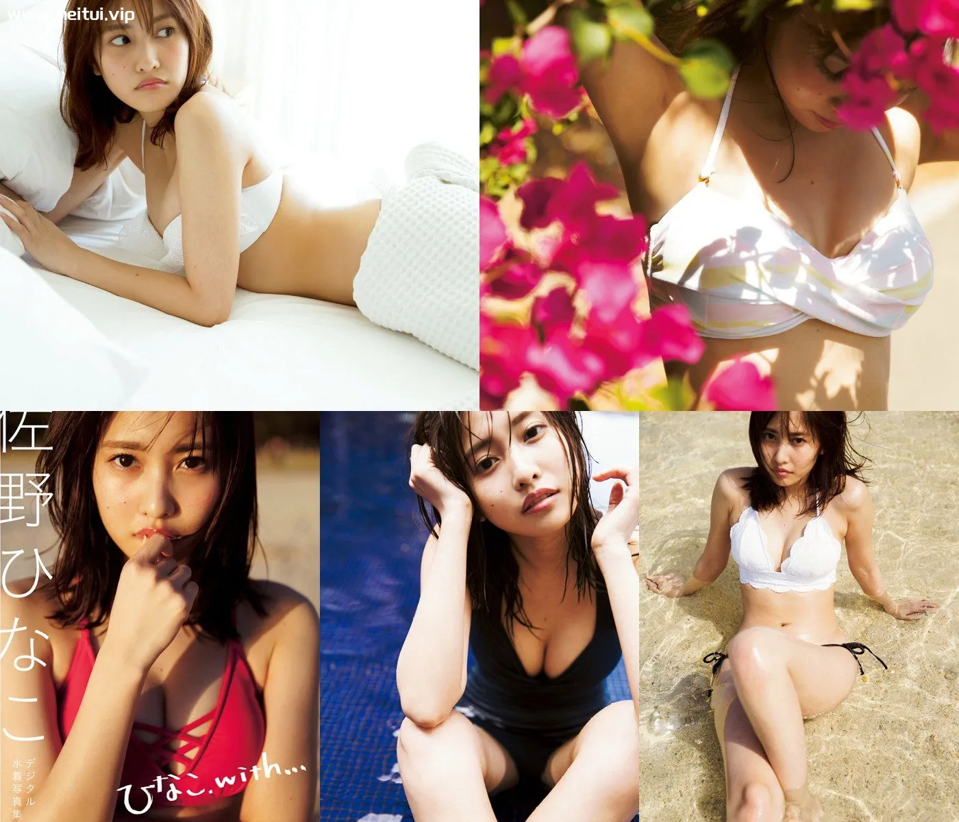 佐野日向子水着写真集「ひなこ、with… 」佐野ひなこ-美腿之家