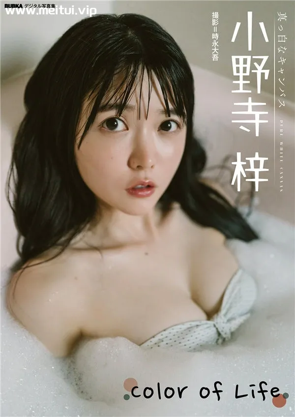 小野寺梓写真集《Color of Life》高清全本[44P]-美腿之家