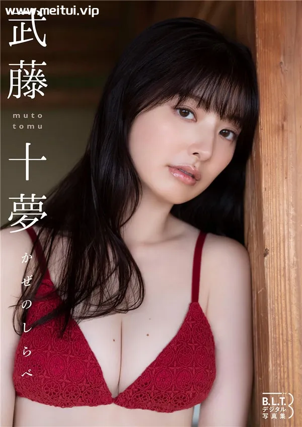 武藤十梦写真集《かぜのしらべ》高清全本[52P]-美腿之家