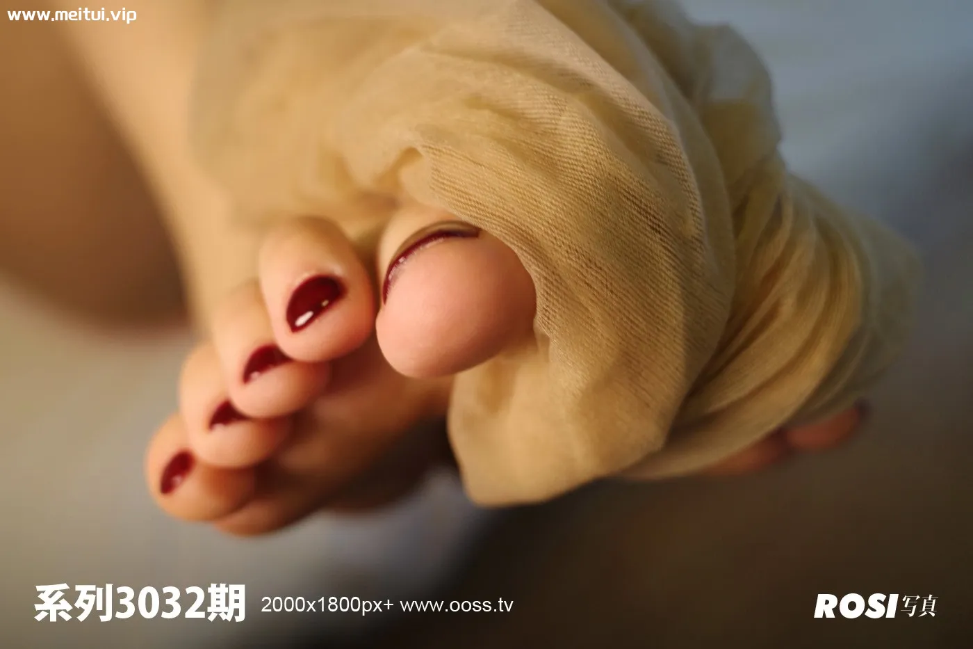 [ROSI写真]2020.03.24 NO.3032-美腿之家